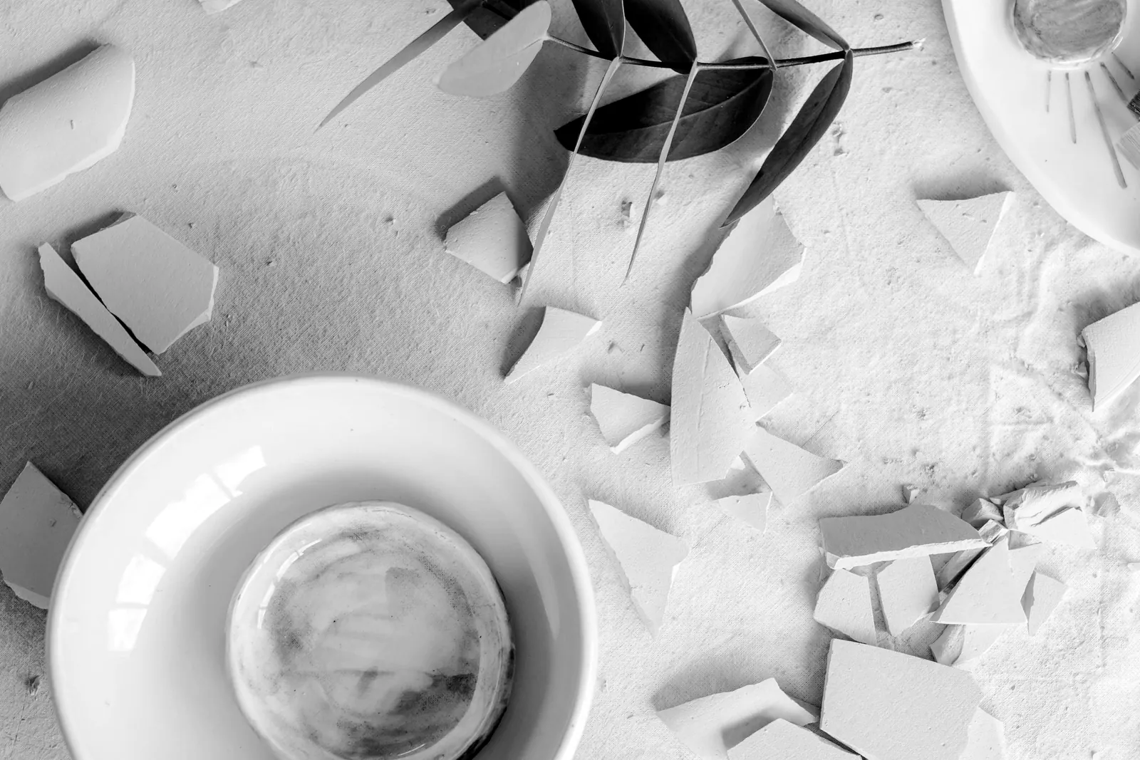 A white ceramic bowl among shards of broken pottery and a sprig of eucalyptus, seen from above in black and white.